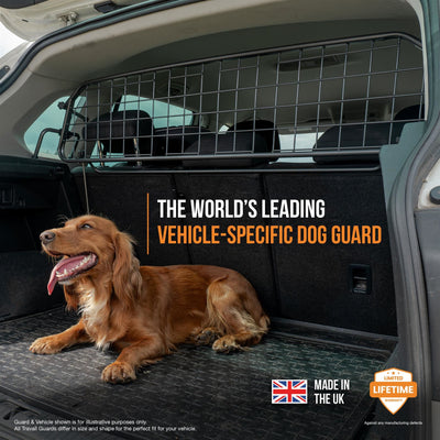 Audi Q2 Dog Guard and Divider Bundle (2020-)