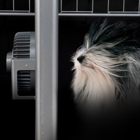 Sorgen Sie für Abkühlung bei Ihrem Hund mit unserem neuen Hunde-Schutzventilator!