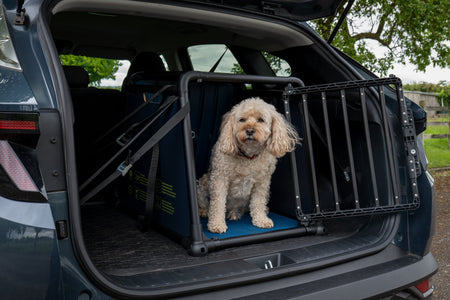 Die Travall-Hundetransportbox – echter Unfallschutz für Ihren Hund