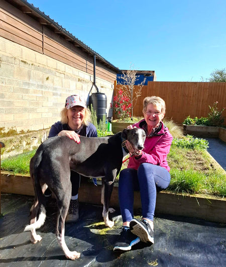 Wir sammeln Spenden für Makants Greyhound Rescue N.W.!