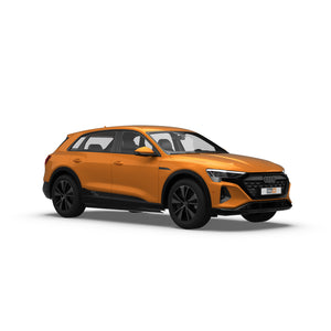 Audi Q8 E-Tron SUV (2022-) Hundegitters