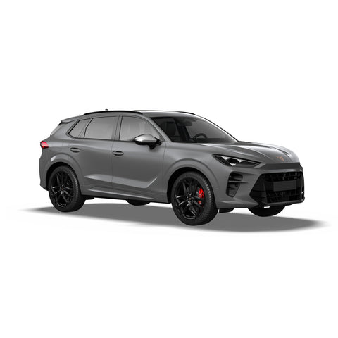 Cupra Terramar (2024-)