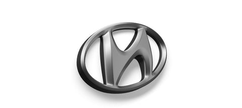Hyundai i30 Hundegitter