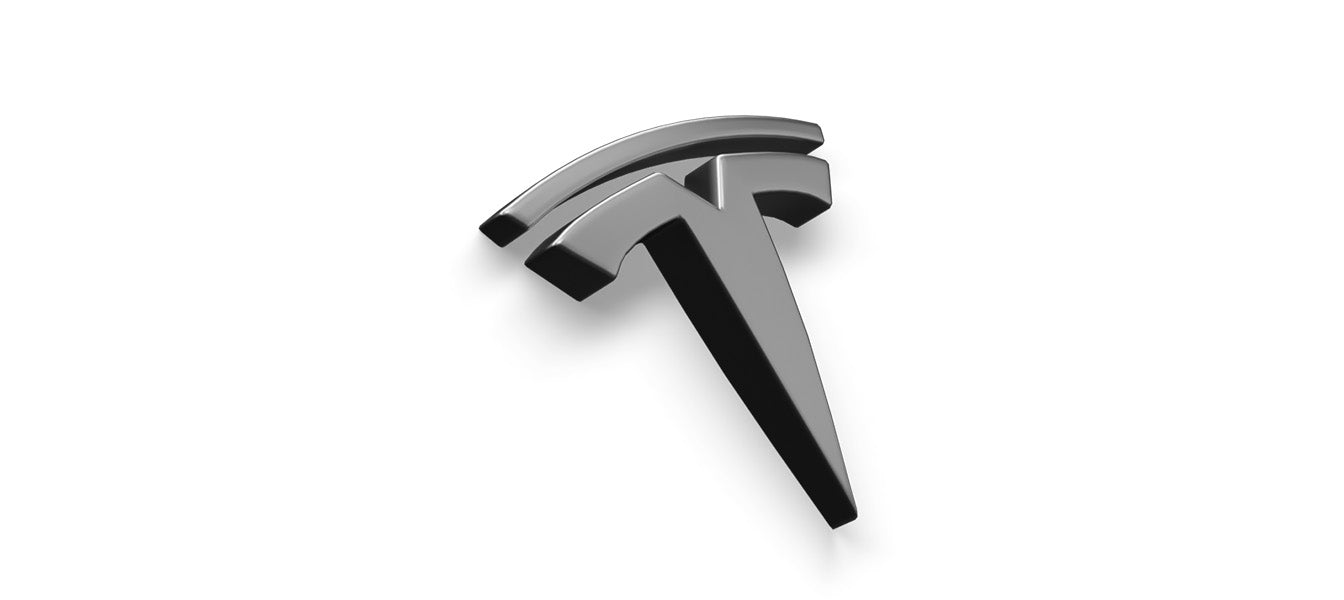 Hundegitter für Tesla Model Y