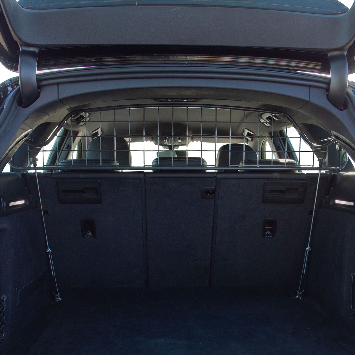 Audi A4 Hundegitter (2019-jetzt)