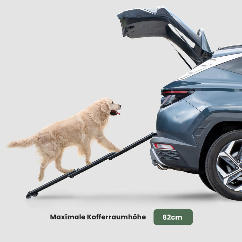 Hunde-Rampe