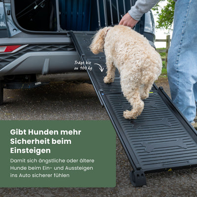 Hunde-Rampe
