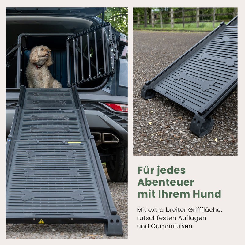 Hunde-Rampe