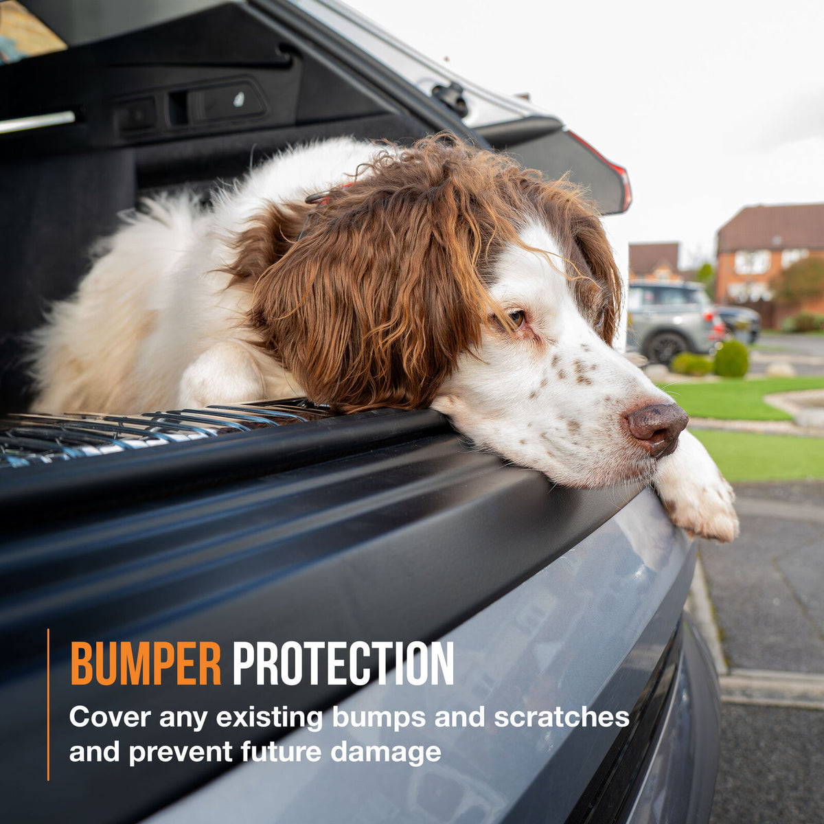 Jeep Cherokee Bumper Protector (2018-2023)