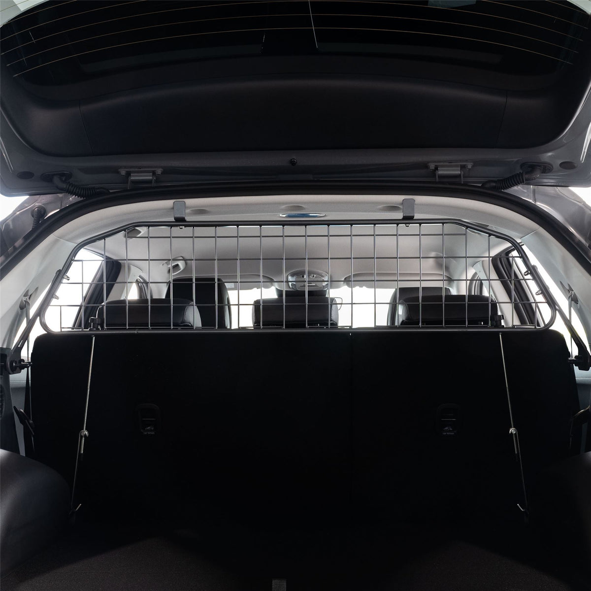 Hyundai IONIQ 5 Hundegitter (2021-jetzt)