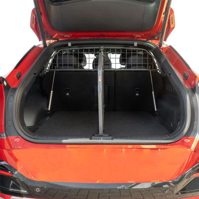 Kia EV6 Trenngitter (2021-jetzt)