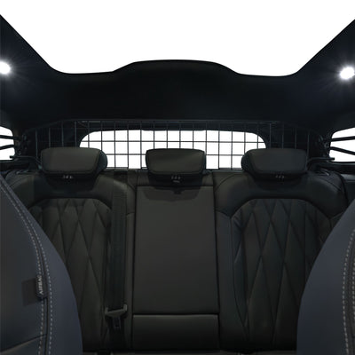 Ford Explorer EV Hundegitter (2024-jetzt)