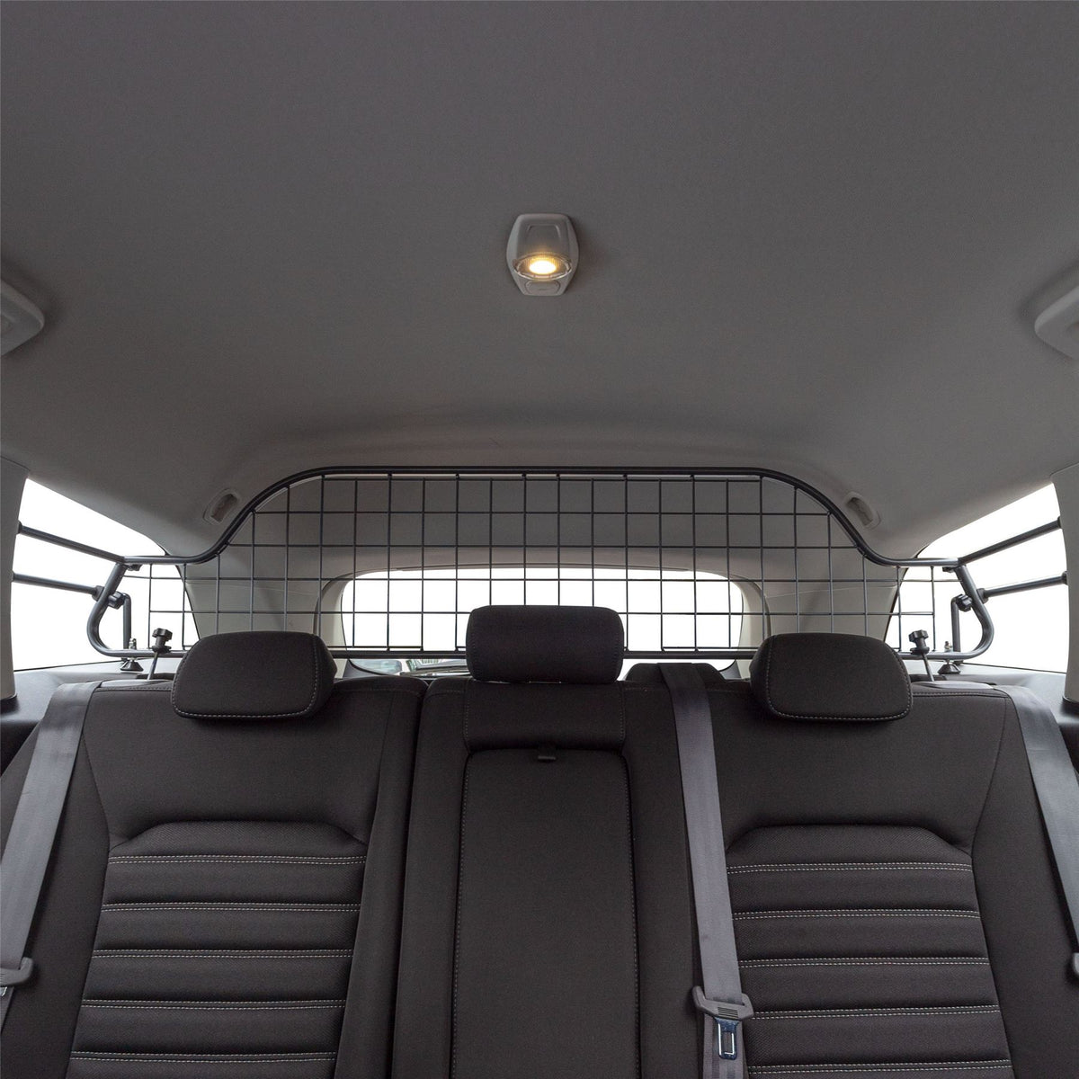 Ford Mondeo Kombi Hundegitter (2014-2022)
